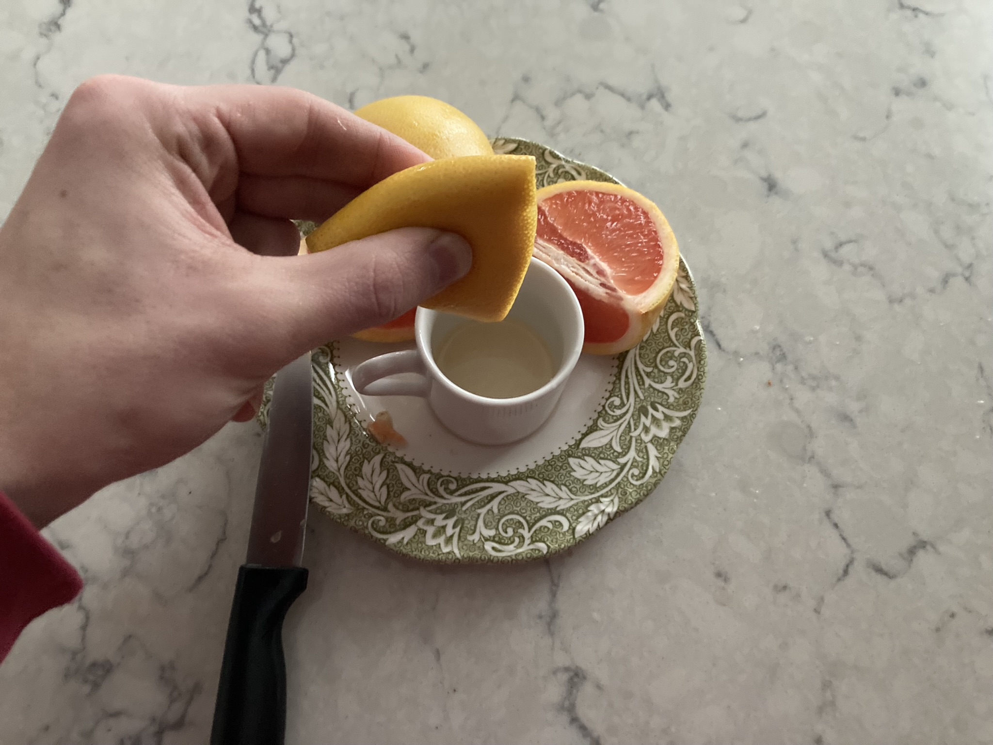 folding the flavedo in half vertically over the little cup